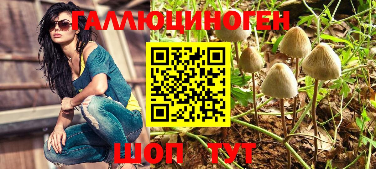 Псилоцибиновые грибы Cubensis  Вход с VPN  Псилоцибиновые грибы ЛСД  Казань 